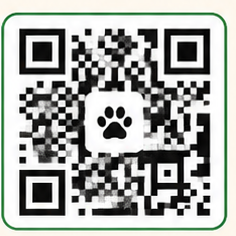 WhatsApp QR Code
